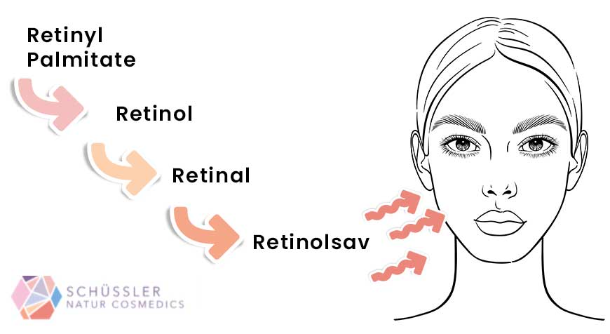 Retinol származékok: retinol, retinal, retinolsav
